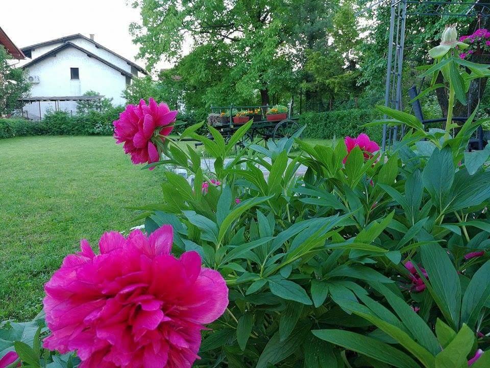 B&B Villa Una Bihać Exteriér fotografie